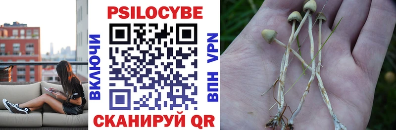 Псилоцибиновые грибы мицелий ссылка на мегу ссылка Арамиль